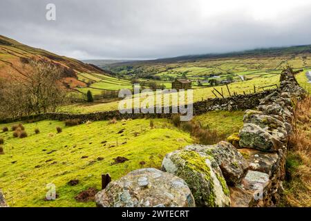 Swaledale, Yorkshire Dales National Park. Berühmte Steinscheunen und Trockenmauern des engen Tals des Flusses Swale sind bei Touristen beliebt. Stockfoto