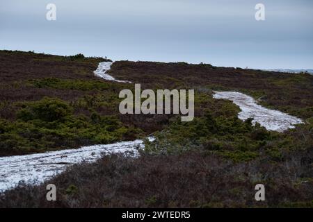 SCHNEEBEDECKTER, KURVENREICHER PFAD, LONLEY ROAD, EINSAME LANDSCHAFT: Ein schneebedeckter Straßenweg schlängelt sich durch eine einsame heidekraute Landschaft. Ein nebeliger Wintertag auf der eiskalten Insel Jurmo im Turku-Archipel in Finnland. Foto: Rob Watkins. INFO: Die entlegene geologisch faszinierende Insel Jurmo ist bekannt für ihr raues Gelände, die malerische Landschaft und die einzigartige Flora und Fauna. Jurmo ist der letzte oberirdische Teil des eiszeitlichen geologischen Salpausselkä-Gebirgssystems, das Finnland durchquert. Stockfoto