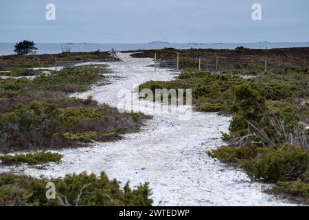 SCHNEEBEDECKTER, KURVENREICHER PFAD, LONLEY ROAD, EINSAME LANDSCHAFT: Ein schneebedeckter Straßenweg schlängelt sich durch eine einsame heidekraute Landschaft. Ein nebeliger Wintertag auf der eiskalten Insel Jurmo im Turku-Archipel in Finnland. Foto: Rob Watkins. INFO: Die entlegene geologisch faszinierende Insel Jurmo ist bekannt für ihr raues Gelände, die malerische Landschaft und die einzigartige Flora und Fauna. Jurmo ist der letzte oberirdische Teil des eiszeitlichen geologischen Salpausselkä-Gebirgssystems, das Finnland durchquert. Stockfoto