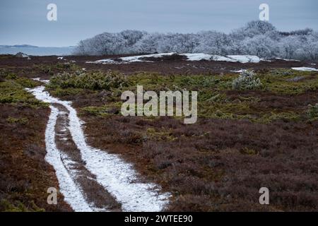 SCHNEEBEDECKTER, KURVENREICHER PFAD, LONLEY ROAD, EINSAME LANDSCHAFT: Ein schneebedeckter Straßenweg schlängelt sich durch eine einsame heidekraute Landschaft. Ein nebeliger Wintertag auf der eiskalten Insel Jurmo im Turku-Archipel in Finnland. Foto: Rob Watkins. INFO: Die entlegene geologisch faszinierende Insel Jurmo ist bekannt für ihr raues Gelände, die malerische Landschaft und die einzigartige Flora und Fauna. Jurmo ist der letzte oberirdische Teil des eiszeitlichen geologischen Salpausselkä-Gebirgssystems, das Finnland durchquert. Stockfoto