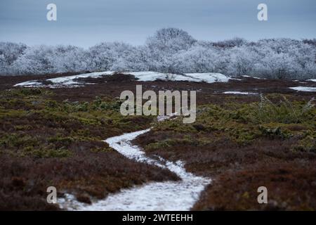 SCHNEEBEDECKTER, KURVENREICHER PFAD, LONLEY ROAD, EINSAME LANDSCHAFT: Ein schneebedeckter Straßenweg schlängelt sich durch eine einsame heidekraute Landschaft. Ein nebeliger Wintertag auf der eiskalten Insel Jurmo im Turku-Archipel in Finnland. Foto: Rob Watkins. INFO: Die entlegene geologisch faszinierende Insel Jurmo ist bekannt für ihr raues Gelände, die malerische Landschaft und die einzigartige Flora und Fauna. Jurmo ist der letzte oberirdische Teil des eiszeitlichen geologischen Salpausselkä-Gebirgssystems, das Finnland durchquert. Stockfoto