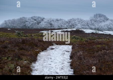 SCHNEEBEDECKTER, KURVENREICHER PFAD, LONLEY ROAD, EINSAME LANDSCHAFT: Ein schneebedeckter Straßenweg schlängelt sich durch eine einsame heidekraute Landschaft. Ein nebeliger Wintertag auf der eiskalten Insel Jurmo im Turku-Archipel in Finnland. Foto: Rob Watkins. INFO: Die entlegene geologisch faszinierende Insel Jurmo ist bekannt für ihr raues Gelände, die malerische Landschaft und die einzigartige Flora und Fauna. Jurmo ist der letzte oberirdische Teil des eiszeitlichen geologischen Salpausselkä-Gebirgssystems, das Finnland durchquert. Stockfoto