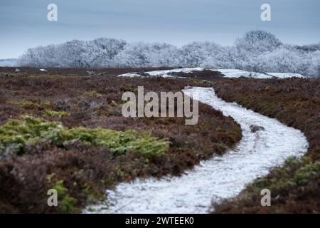 SCHNEEBEDECKTER, KURVENREICHER PFAD, LONLEY ROAD, EINSAME LANDSCHAFT: Ein schneebedeckter Straßenweg schlängelt sich durch eine einsame heidekraute Landschaft. Ein nebeliger Wintertag auf der eiskalten Insel Jurmo im Turku-Archipel in Finnland. Foto: Rob Watkins. INFO: Die entlegene geologisch faszinierende Insel Jurmo ist bekannt für ihr raues Gelände, die malerische Landschaft und die einzigartige Flora und Fauna. Jurmo ist der letzte oberirdische Teil des eiszeitlichen geologischen Salpausselkä-Gebirgssystems, das Finnland durchquert. Stockfoto