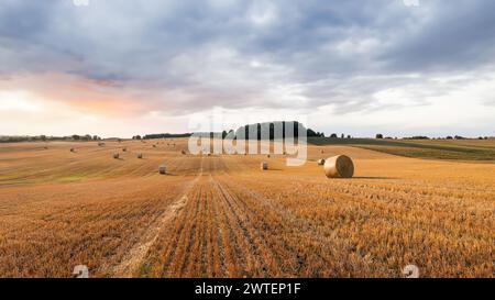 Heuballen auf einem Feld in einem goldenen Sonnenuntergang Stockfoto