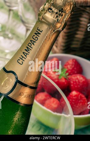 Sektflasche im Retro-Vintage-Stil mit frischen Erdbeeren auf Picknicktisch mit Gläsern und luxuriösem Korbkorb dahinter. Stockfoto