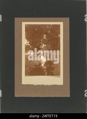 Unbenannt. Taizo Kato, Fotograf (japanisch/amerikanisch, 1887–1924) um 1920–1924 Eine Landschaft mit einem kleinen Bach, der durch ein bewaldetes Gebiet verläuft. Ein Teich oder See ist im Hintergrund zu sehen. Stockfoto