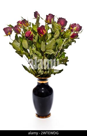 Getrockneter Strauß roter Rosen in einer schwarzen Vase Stockfoto