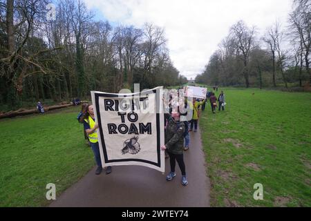 Hunderte von Right to Roam Demonstranten marschierten am 17. März 2024 durch den Cirencester Park. Gloucestershire Bathurst Estate führt jetzt Eintrittsgelder ein. Der Park ist seit über 300 Jahren frei zugänglich. Unter den Demonstranten war der Nachfahre von Henry Irwin Jenkinson, Sheila Wiggins. Henry Irwin Jenkinson führte 1887 den Latrigg Fell Trespass in Keswick an Stockfoto