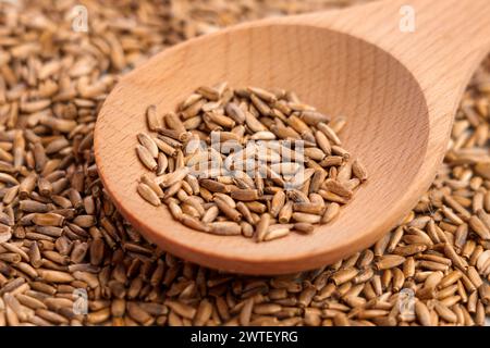 Getrocknete Mariendistelsamen im Holzlöffel. Natürliche Nahrungsergänzungsmittel. Silybum marianum. Natürliche Quelle von Silymarin Stockfoto