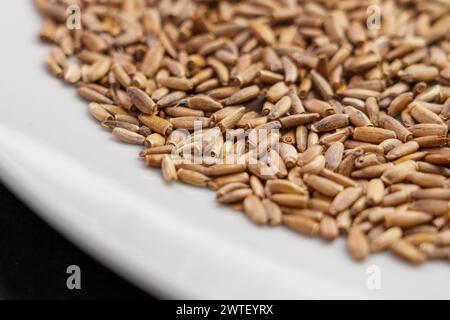 Getrocknete Mariendistelsamen in weißer Keramikplatte. Natürliche Nahrungsergänzungsmittel. Silybum marianum Stockfoto