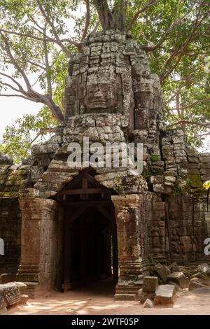 Tor zum Ta Som Tempel in Angkor in der Nähe von Siem Reap in Kambodscha in Südostasien Stockfoto