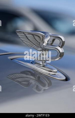 Indianapolis - 16. März 2024: Bentley Flying B Kapuzendekoration auf einer Mulsanne. Der Bentley Flying B stammt aus dem Jahr 1933. MEIN:2017 Stockfoto