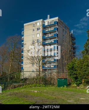 Moderne Wohnhäuser an sonnigem Tag in Bergen op Zoom Niederlande 03 04 2024 Stockfoto
