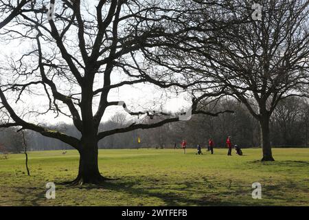 Männer spielen Golf auf dem Wimbledon Common Golf Course London Scottish Golf Club Greater London England Stockfoto