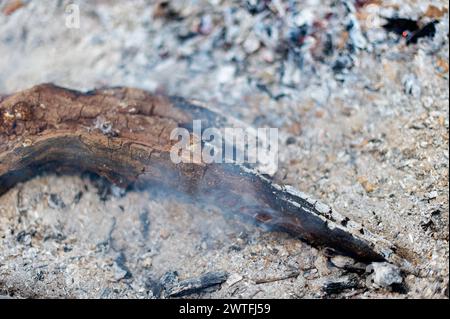 Reste von teilweise verbranntem Holz zwischen Asche, nach einem Brand. Stockfoto