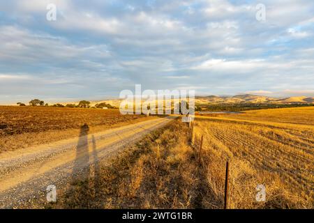 Südaustralische Landschaft, trockene Weizenfelder im Barossa Valley in der Nähe von Tanunda, blaue Stunde vor Sonnenuntergang, landschaftlich reizvolle ausblicke, 2024 Stockfoto