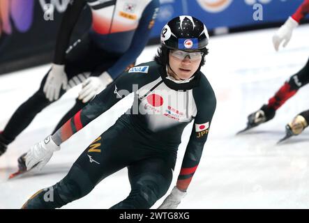 Kosei HAYASHI (JPN) im Viertelfinale 1500 m Männer während der ISU Kurzstreckenweltmeisterschaft 2024 am 15. März 2024 in Ahoy, Rotterdam, Niederlande Credit: SCS/Soenar Chamid/AFLO/Alamy Live News Stockfoto