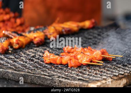 Satays Grillen im Netz. Es ist auch als Sate bekannt, es ist eine südostasiatische Form von Kebab, der aus gewürztem, gespießtem und gegrilltem Fleisch usw. hergestellt wird Stockfoto