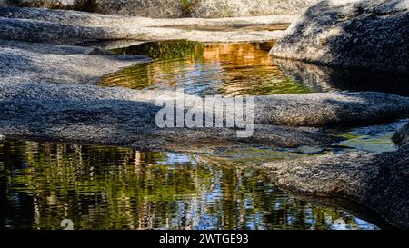 Felsbrocken und Gewässer mit Baum- und Himmelsspiegelung. Stockfoto