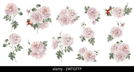 Kompositionen mit rosa Hüftblüten, Knospen, Blättern und roten Beeren. Floral Aquarell Illustration Hand gemalt isoliert auf weißem Hintergrund Stockfoto