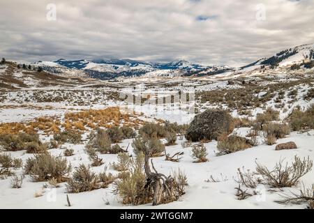 LAMAR VALLEY YELLOWSTONE-NATIONALPARK WYOMING USA Stockfoto