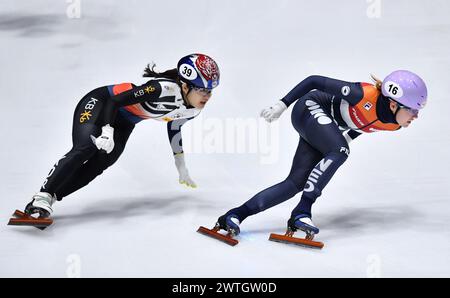 Rotterdam, Niederlande. März 2024. Michelle Velzeboer (R) aus den Niederlanden tritt am 17. März 2024 während der 3000-m-Staffel der Frauen bei den ISU-Kurzstrecken-Speed-Skating-Weltmeisterschaften 2024 in Rotterdam, Niederlande, an. Quelle: Lian Yi/Xinhua/Alamy Live News Stockfoto