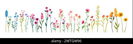 Große Reihe von zarten, anmutigen Wildblumen auf hohen Stämmen mit Laub. Einfache Blumenelemente. Wilde Pflanzen isoliert auf weißem Hintergrund. Illustration des flachen Vektors. Stock Vektor