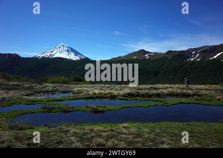 Trekking in Patagonien, Wandertouren auf grasbewachsenen Feuchtgebieten entlang des Villarrica Traverse Wanderweges im Villarrica Nationalpark, Blick auf den Vulkan Stockfoto