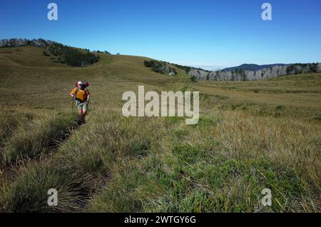 Man touristische Wanderungen auf grasbewachsenem Gelände schöne hügelige Landschaft im Puyehue Nationalpark, Los Lagos Region, Outdoor-Aktivitäten in Chile Stockfoto