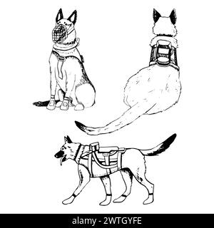 K9 Militärhunde Soldaten in Rüstungswesten Set Stock Vektor