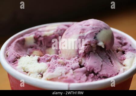 Nahaufnahme von leckerem Heidelbeer-Joghurt-Eis in einem Big Cup Stockfoto