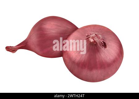 Rote Zwiebeln isoliert auf weißem Hintergrund Stockfoto