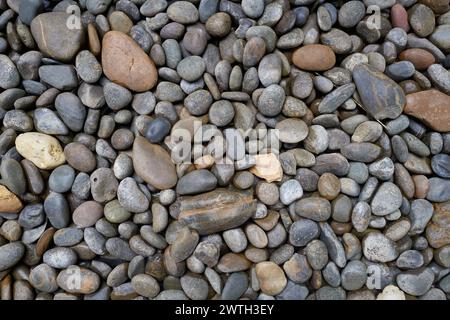 Kieselsteine auf dem Boden Stockfoto