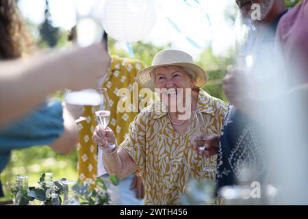 Familienangriff. Klirrende Gläser auf der Gartenparty im Sommer. Feierlicher Toast am Tisch. Stockfoto