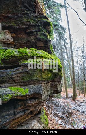 Blick über moosbewachsenen Sandstein bis hin zu schneebedeckten und frostbedeckten Bäumen auf dem Zschirnstein. Naturpark in der Sächsischen Schweiz in Deutschland Stockfoto