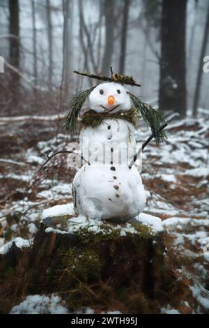 Schneemann auf einem Baumstumpf mit einer Karotte für die Nase, Knöpfen, einem Zweig für Arme und Kiefernnadeln für Haare. Im schneebedeckten Wald. Stockfoto