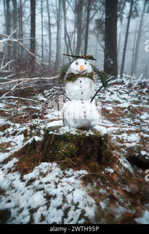 Schneemann auf einem Baumstumpf mit einer Karotte für die Nase, Knöpfen, einem Zweig für Arme und Kiefernnadeln für Haare. Im schneebedeckten Wald. Stockfoto