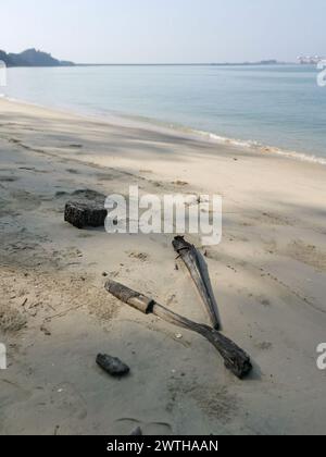 Gestrandetes Treibholz, das am Sandstrand angespült wurde Stockfoto