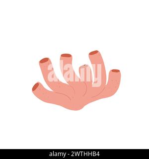 Korallenriff isoliert auf weißem Hintergrund. Meeresunterwasserelemente. Illustration der Vektorabwicklung. Stock Vektor