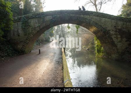 Ein Paar geht über einen massiven Steinbuckel zurück auf die viktorianische Brücke, während die goldenen winterlichen Morgensonnen durch die Bäume brechen und den Nebel hervorheben Stockfoto