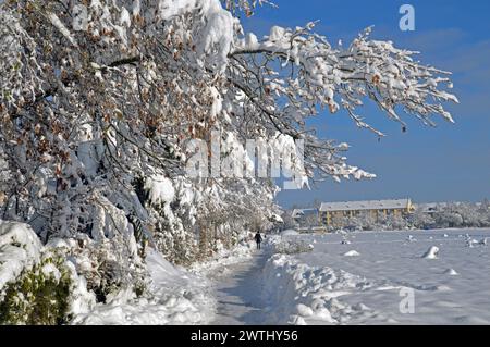 Deutschland, Niederbayern, Unterschleissheim: Schneeszene mit schneebedeckten Bäumen. Stockfoto