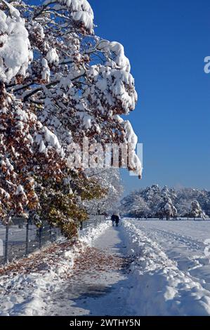 Deutschland, Niederbayern, Unterschleissheim: Schneeszene mit Spaziergänger und schneebedeckten Bäumen. Stockfoto