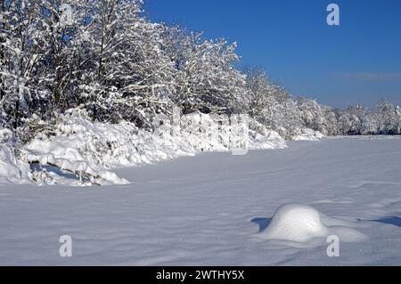 Deutschland, Niederbayern, Unterschleissheim: Schneeszene mit schneebedeckten Bäumen. Stockfoto