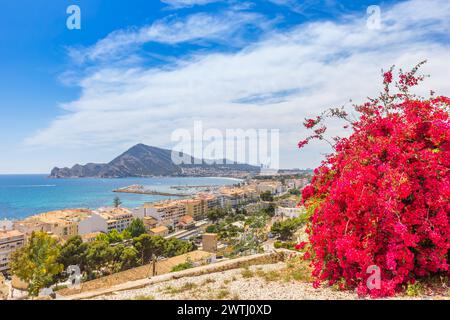 Rote Blumen auf dem Hügel mit Blick auf die Bucht in Altea, Spanien Stockfoto