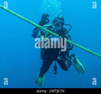 Taucher auf Sicherheitsstop an Ankerleine, Tauchplatz Wrack der Thistlegorm, Rotes Meer, Ägypten *** Taucher auf Sicherheitsstop an Ankerleine, Tauchplatz Wrack der Thistlegorm, Rotes Meer, Ägypten Stockfoto