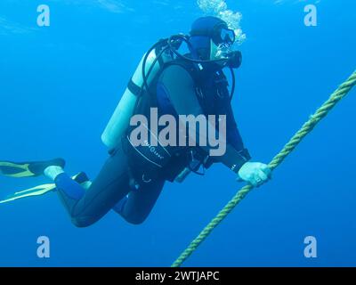 Taucher auf Sicherheitsstop an Ankerleine, Tauchplatz Wrack der Thistlegorm, Rotes Meer, Ägypten *** Taucher auf Sicherheitsstop an Ankerleine, Tauchplatz Wrack der Thistlegorm, Rotes Meer, Ägypten Stockfoto