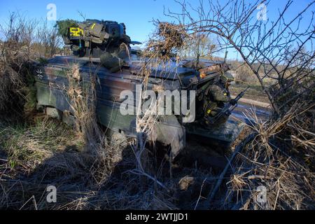 18. März 2024, Sachsen-Anhalt, Hohengöhren: Ein Soldat aus Panzergrenadierbataillon 371 springt während eines Manövers aus einem Infanterie-Kampffahrzeug „Marder“. Im Norden Sachsen-Anhalts hat die Wettiner Schwerter 2024 begonnen. Während der Übung überquerten das Panzerbataillon 371 und das Panzerbataillon 393 die Elbe mit schwimmenden Brücken. Foto: Klaus-Dietmar Gabbert/dpa Stockfoto