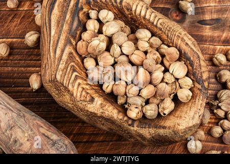 Weißer Kardamom in einem Holzmörtel, Gewürz auf einem rustikalen hölzernen Hintergrund. Stockfoto