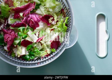 Keto-Konzept. Blick von oben auf einen Haufen frischer gemischter Salate. Salatschleuder (Zentrifugaltrockner) zum Trocknen von Salatblättern und Kräutern. Stockfoto