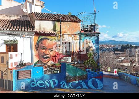 Große, lebendige Wandgemälde schmücken Häuser und Wände im Stadtteil Realejo-San Matias und zeigen eine zeitgenössische Seite von Granada, Spanien Stockfoto